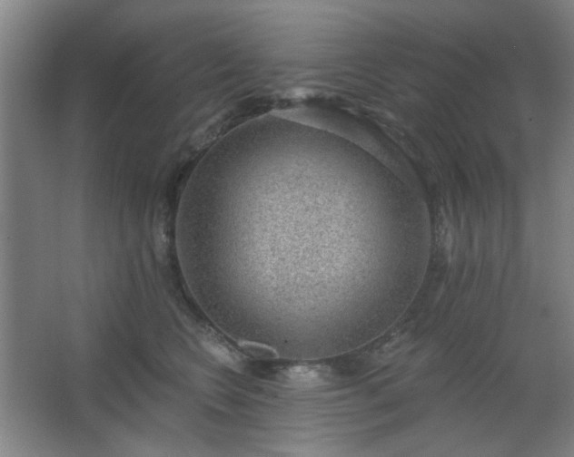 X0000062610566200512281506