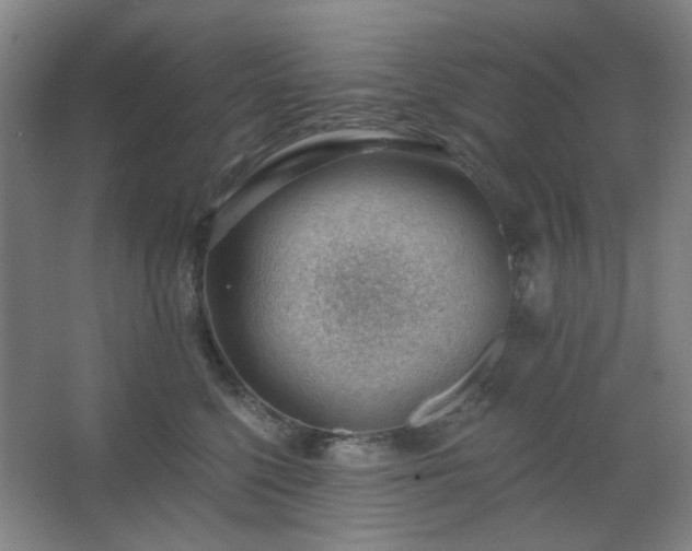 X0000062610568200512281506