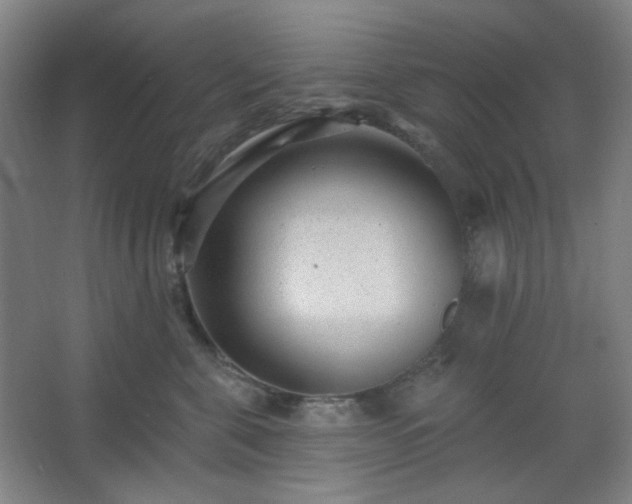 X0000062610571200512281506