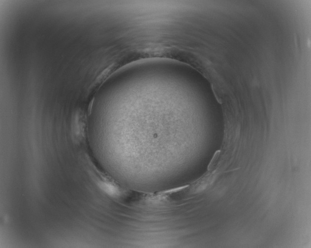 X0000062610576200512281506