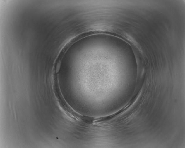 X0000062610580200512281506