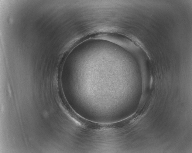 X0000062610581200512281506