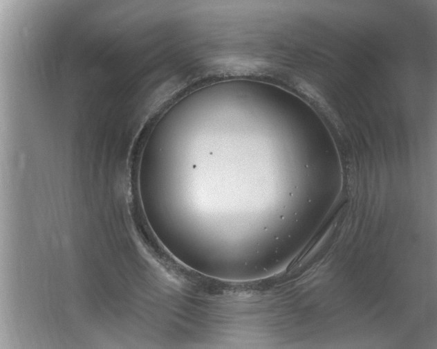 X0000062610582200512281506