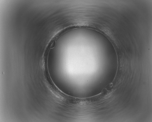 X0000062610584200512281506