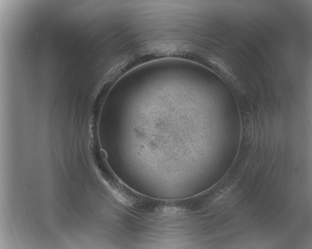 X0000062610590200512281505