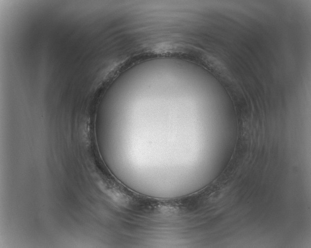 X0000062610592200512281505