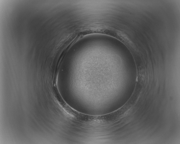 X0000062610593200512281505