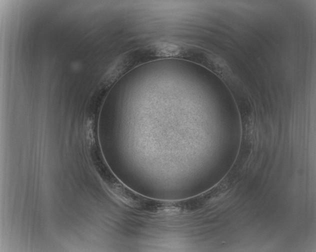 X0000062610598200512281505