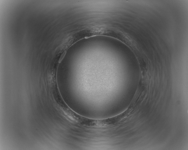 X0000062610601200512281505