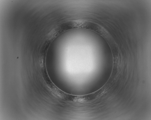 X0000062610602200512281505