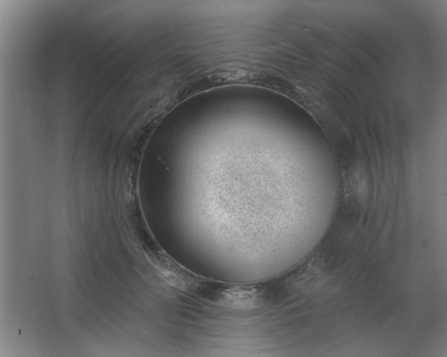 X0000062610606200512281505