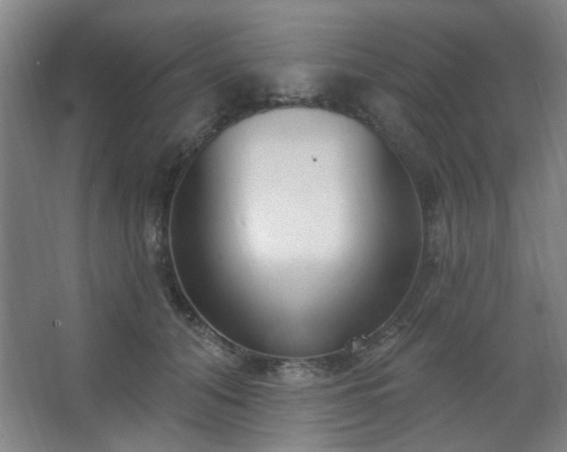 X0000062610608200512281505