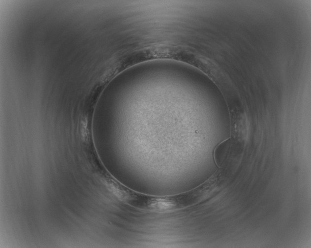 X0000062610610200512281505