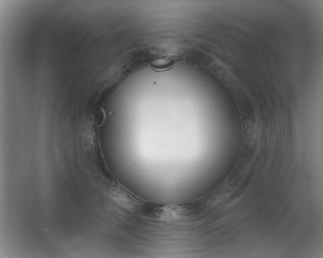 X0000062610612200512281505