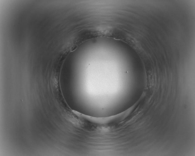 X0000062610613200512281505