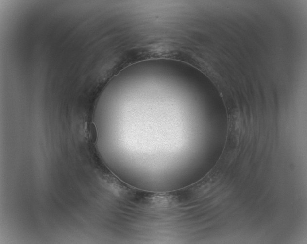 X0000062610615200512281505