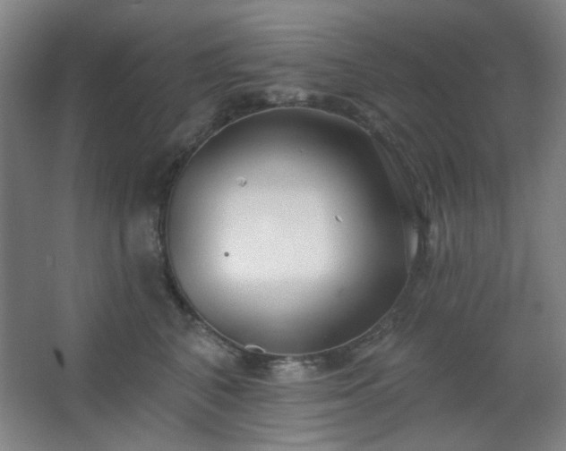 X0000062610616200512281505