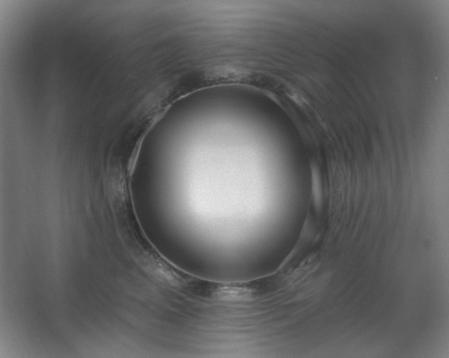 X0000062610617200512281505