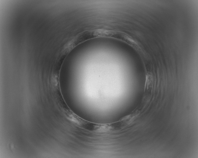 X0000062610621200512281505