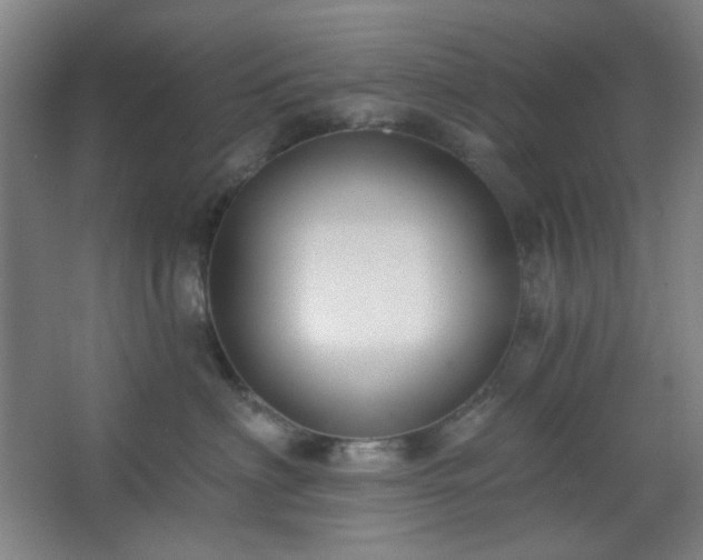 X0000062610622200512281505