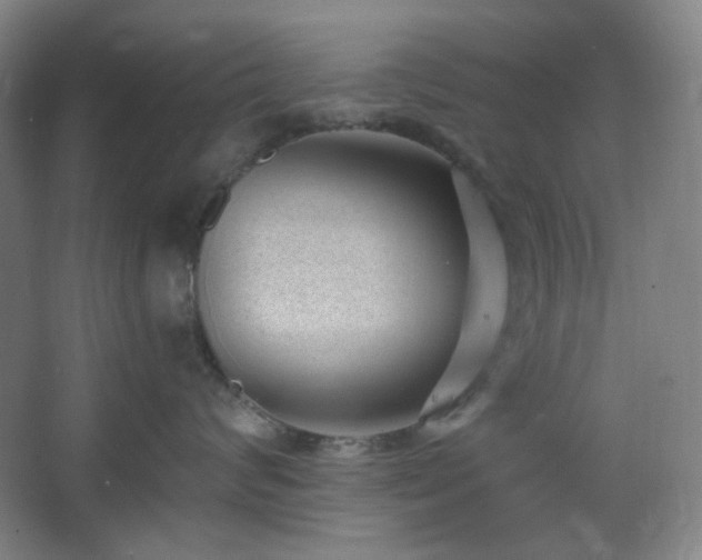 X0000062610624200512281505