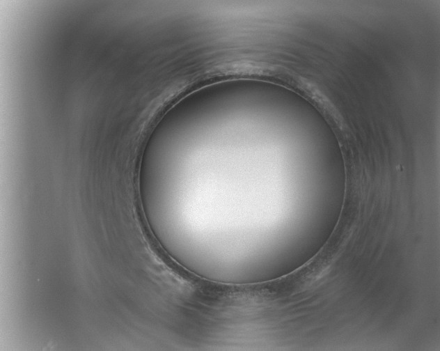 X0000062610625200512281504