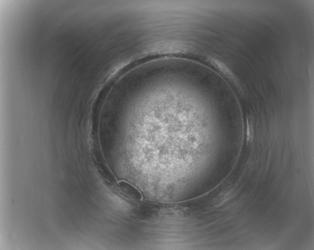 X0000062610627200512281504