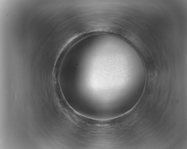 X0000062610628200512281504