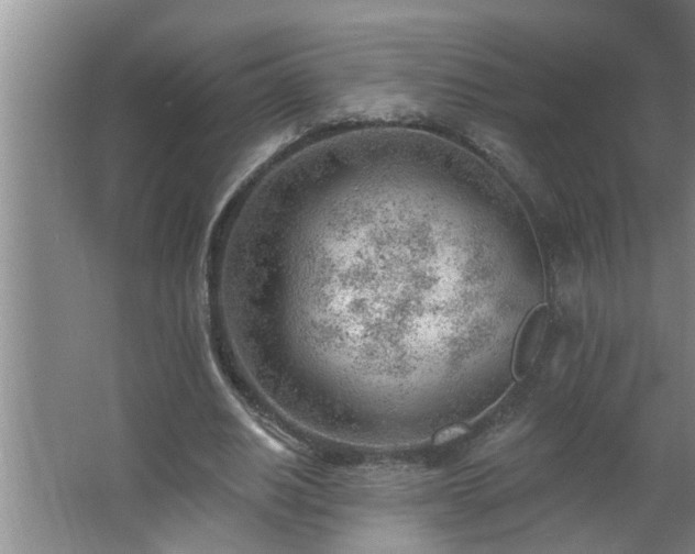 X0000062610630200512281504