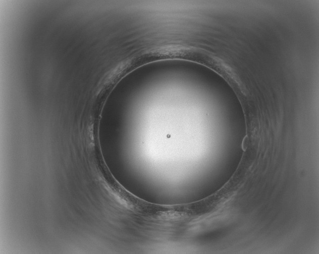 X0000062610633200512281504