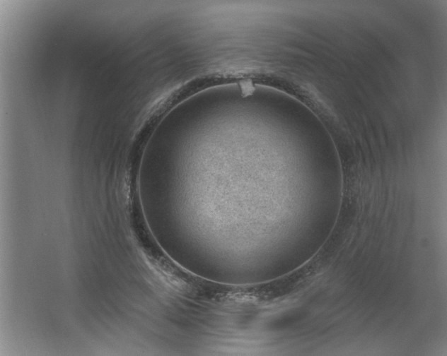 X0000062610640200512281504