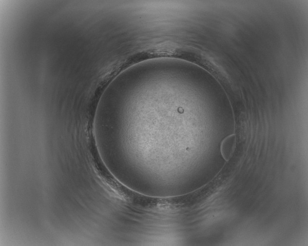 X0000062610641200512281504