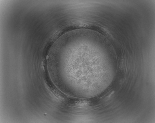 X0000062610643200512281504