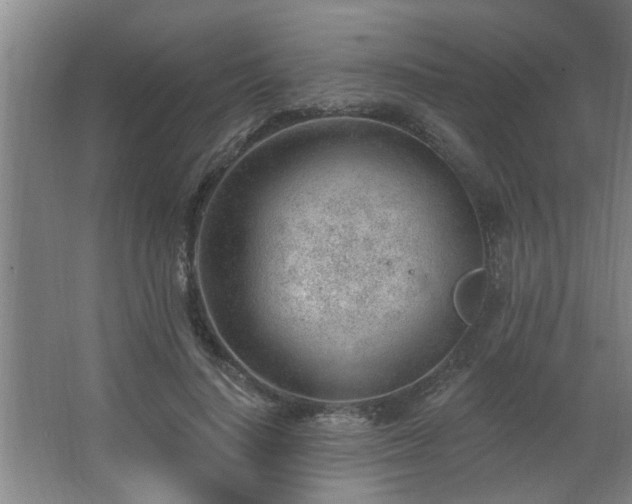 X0000062610644200512281504