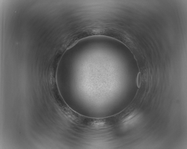 X0000062610651200512281505