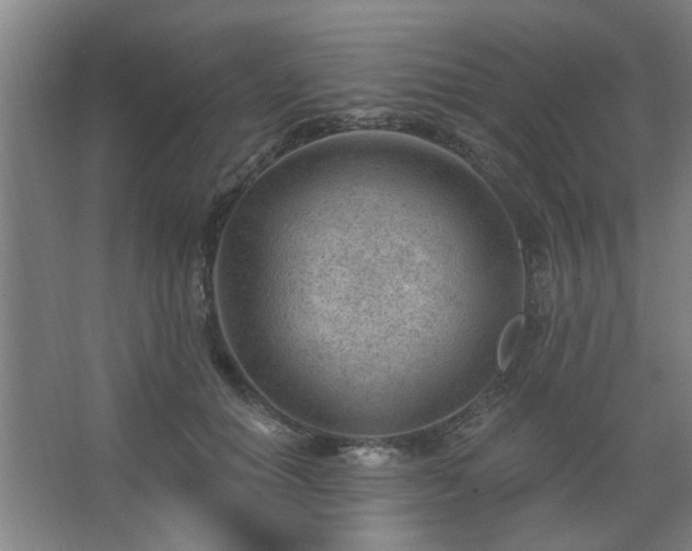 X0000062610654200512281505