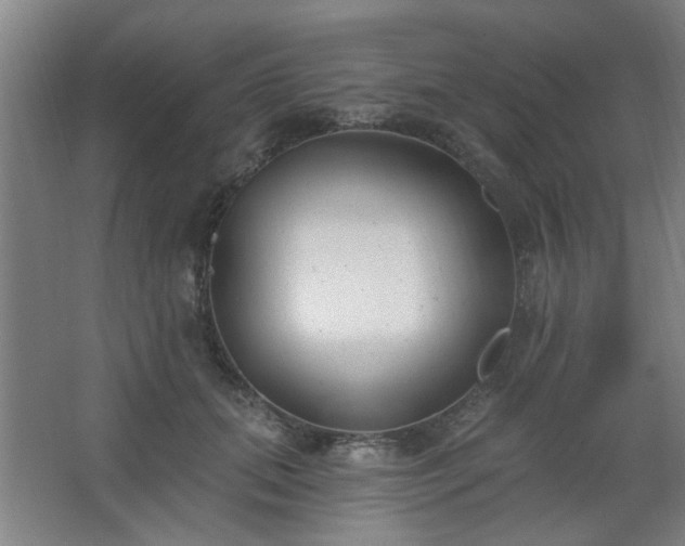 X0000062610655200512281505