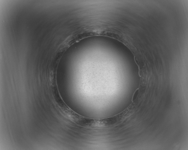 X0000062610656200512281505