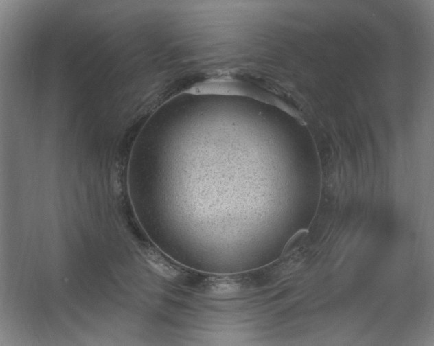 X0000062610658200512281505