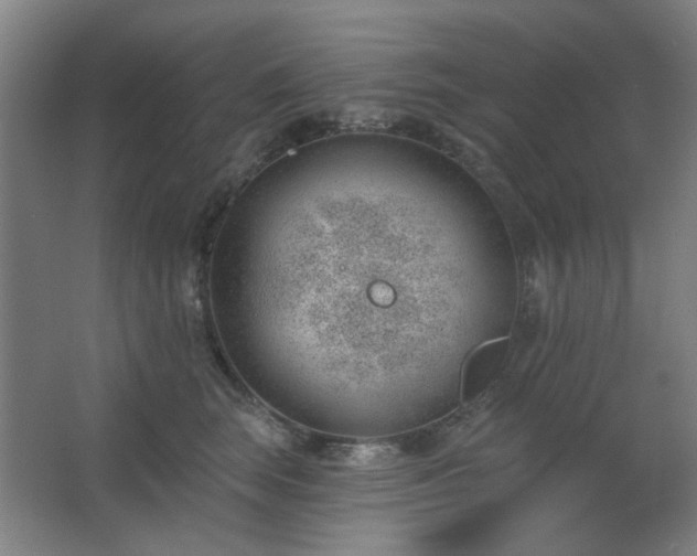 X0000062610663200512281505