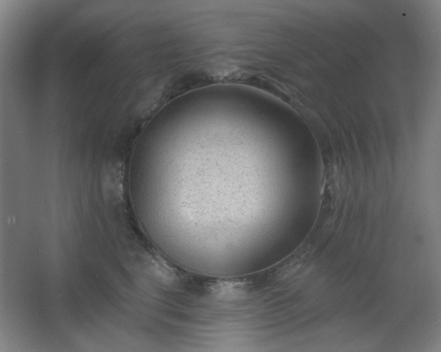 X0000062610664200512281505