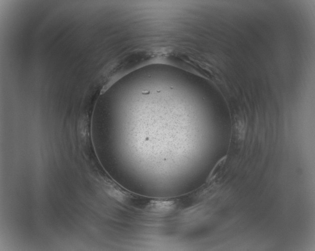 X0000062610665200512281505