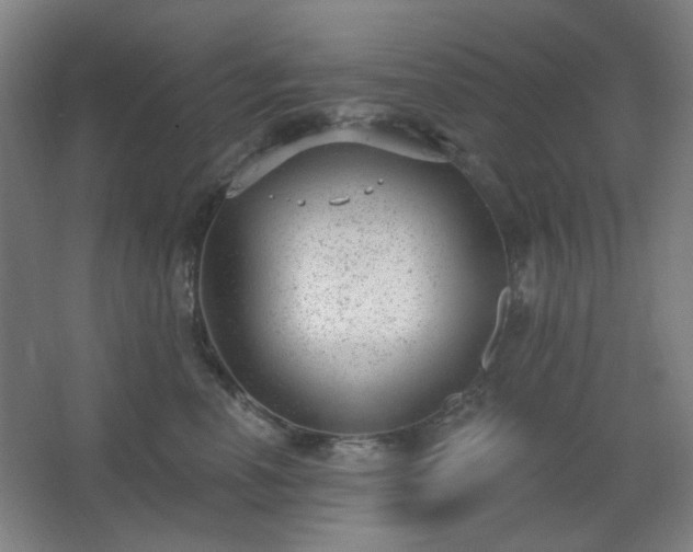 X0000062610666200512281505