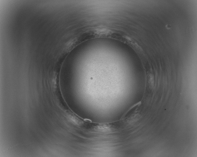 X0000062610668200512281505