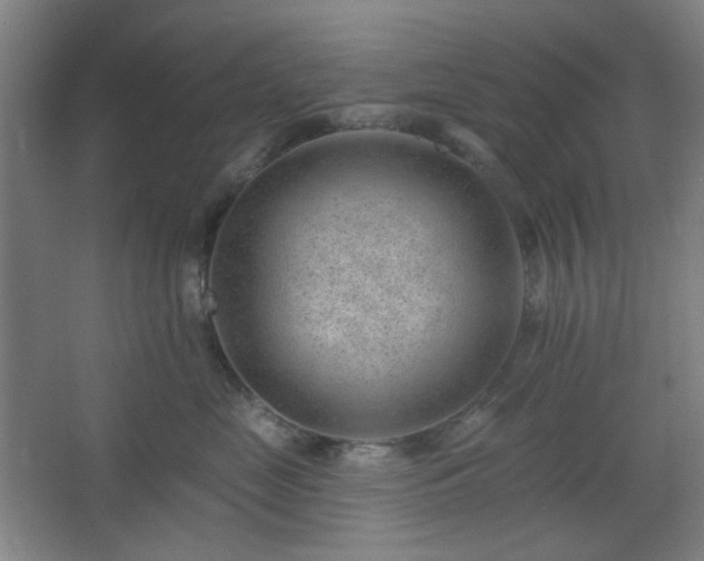 X0000062610669200512281505