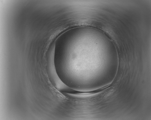 X0000062610673200512281504