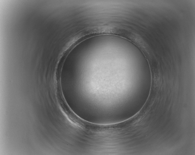 X0000062610674200512281504