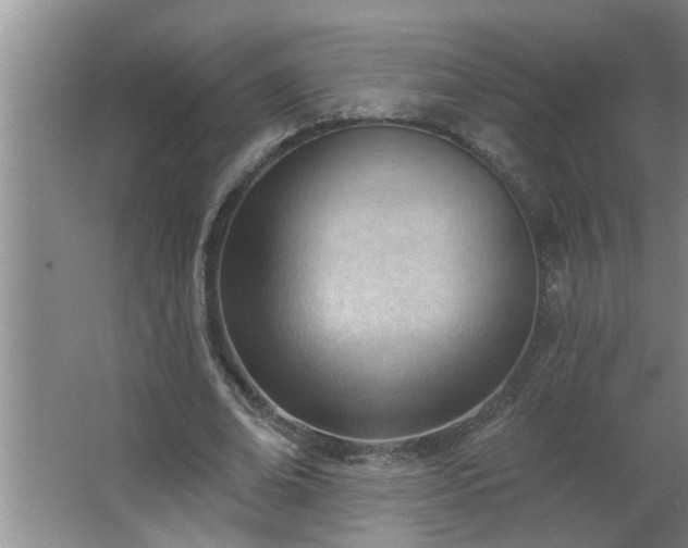 X0000062610678200512281504