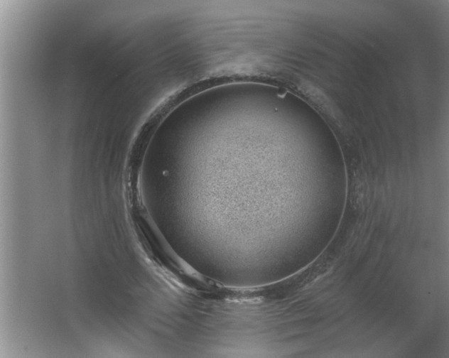 X0000062610680200512281504