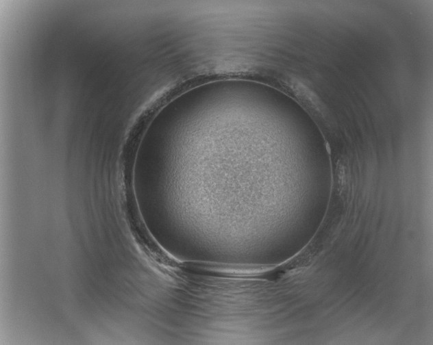 X0000062610684200512281504